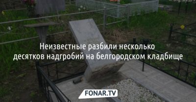Неизвестные разбили несколько десятков надгробий на белгородском кладбище