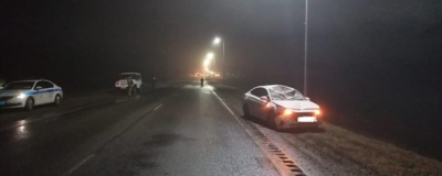 В Краснояружском районе в ДТП погиб лось