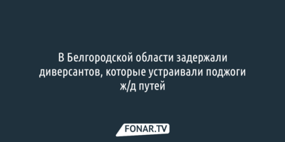 ФСБ: В Белгородской области задержали диверсантов, которые устроили поджог на железной дороге