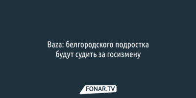 Baza: белгородского подростка будут судить за госизмену