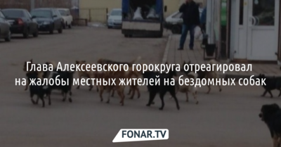Глава Алексеевского горокруга отреагировал на жалобы местных жителей на бездомных собак
