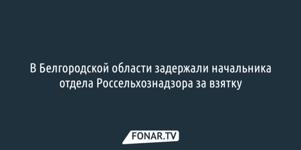 В Белгородской области задержали начальника отдела Россельхознадзора за взятку
