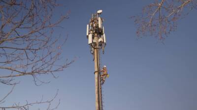 «Пилар» стал лидером башенного рынка по темпам роста и числу вышек — Telecom Daily