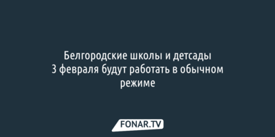 Белгородские школы и детсады 3 февраля будут работать в обычном режиме
