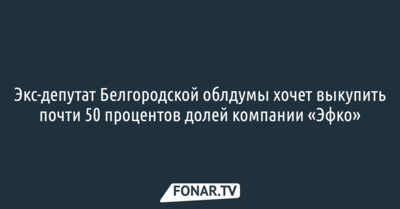 Экс-депутат Белгородской облдумы хочет выкупить почти 50 процентов долей компании «Эфко»
