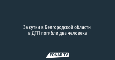 За сутки в Белгородской области в ДТП погибли два человека