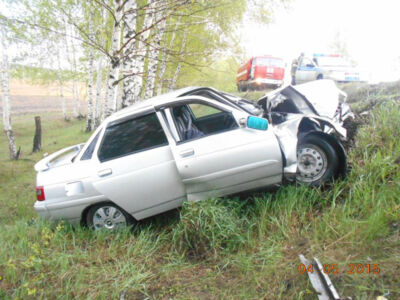 ​В Белгородской области водитель погиб, врезавшись в дерево