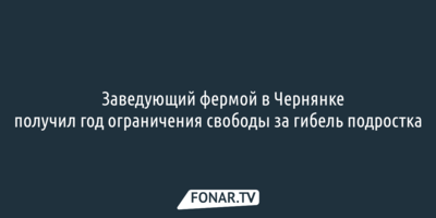 ​Заведующий фермой в Чернянке получил год ограничения свободы за гибель подростка