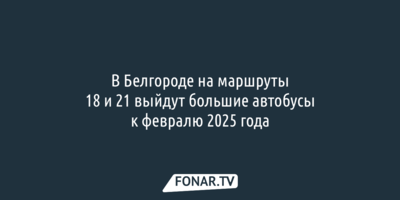 Белгородский министр транспорта попросил жителей Крейды потерпеть неудобства с 18-м и 21-м маршрутами