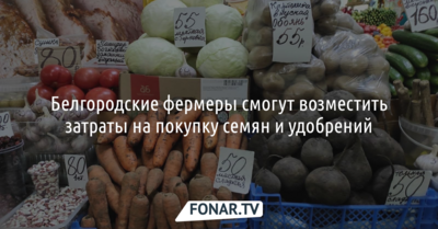 Белгородские фермеры смогут возместить затраты на покупку семян и удобрений