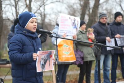 В Белгороде провели митинг в защиту животных