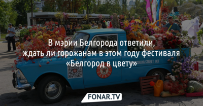 В мэрии Белгорода ответили, ждать ли горожанам в этом году фестиваля «Белгород в цвету»