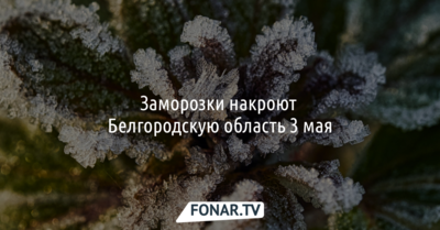 Заморозки накроют Белгородскую область 3 мая