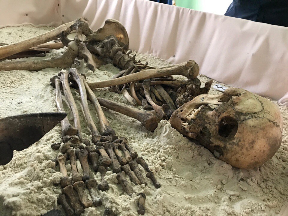 ​В Корочанском районе археологи нашли скелет мужчины, которому 3,5 тысячи лет