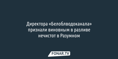 Директора «Белоблводоканала» признали виновным в разливе нечистот в Разумном