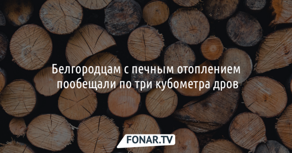 Белгородцам с печным отоплением пообещали по три кубометра дров