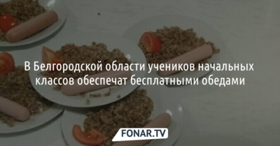 В Белгородской области учеников начальных классов обеспечат бесплатными обедами
