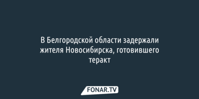 В Белгородской области задержали жителя Новосибирска, готовившего теракт