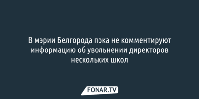 В мэрии Белгорода пока не комментируют информацию об увольнении директоров нескольких школ