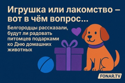 «Игрушка или лакомство — вот в чём вопрос…». Белгородцы рассказали, будут ли радовать питомцев подарками ко Дню домашних животных