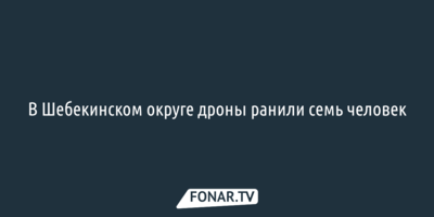 В Шебекинском округе дроны ранили семь человек