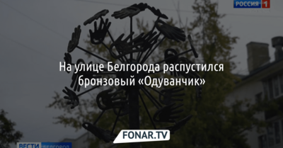 На улице Белгорода распустился бронзовый «Одуванчик» 