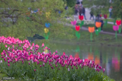 «Река в цвету-2023». Третий день самого яркого фестиваля весны