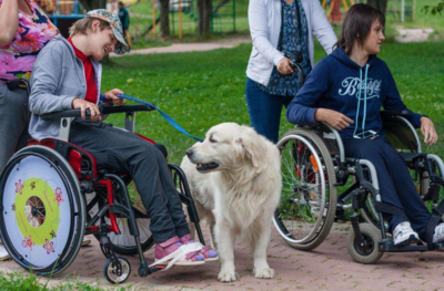 ​В Белгородской области собирают деньги на летний лагерь для детей с ДЦП