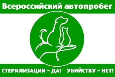 ​Белгородцев приглашают присоединиться к автопробегу в защиту животных
