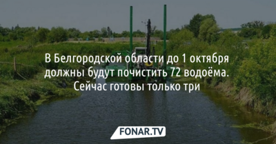 В Белгородской области до 1 октября должны будут почистить 72 водоёма 
