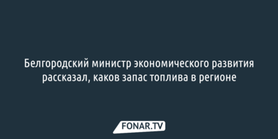 Белгородский министр экономического развития рассказал, каков запас топлива в регионе
