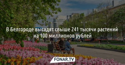 В Белгороде высадят свыше 241 тысячи растений на 100 миллионов рублей