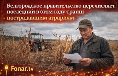 ​Белгородское правительство перечисляет последний в этом году транш пострадавшим аграриям