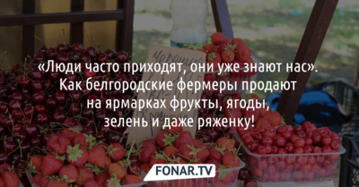 «Люди часто приходят, они уже знают нас». Как белгородские фермеры продают на ярмарках фрукты, ягоды, зелень и даже ряженку!
