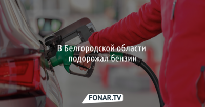 В Белгородской области подорожал бензин