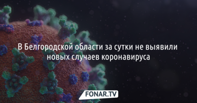 В Белгородской области за сутки не выявили новых случаев коронавируса 