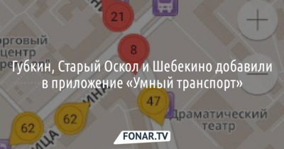 В приложении «Умный транспорт» появились автобусные маршруты трёх белгородских городов