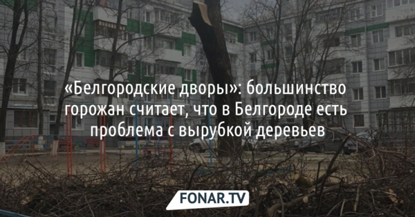 «Белгородские дворы»: Большинство горожан считает, что в Белгороде есть проблема с вырубкой деревьев