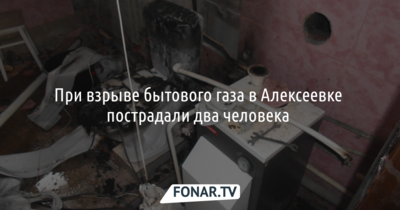 При взрыве бытового газа в Алексеевке пострадали два человека 
