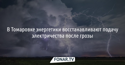 В Томаровке энергетики восстанавливают подачу электричества после грозы