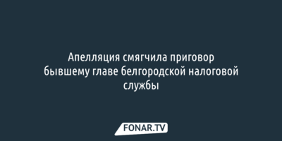 Апелляция смягчила приговор бывшему главе белгородской налоговой службы