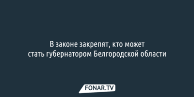 В законе закрепят, кто может стать губернатором Белгородской области
