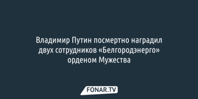 Владимир Путин посмертно наградил двух сотрудников «Белгородэнерго» орденом Мужества