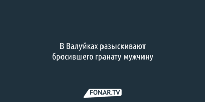 В Белгородской области взорвалась граната