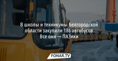 В школы и техникумы Белгородской области закупили 186 автобусов. Все автобусы — «ПАЗики»