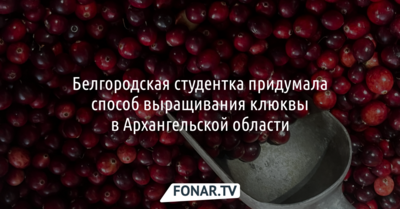Белгородская студентка придумала способ выращивания клюквы в Архангельской области