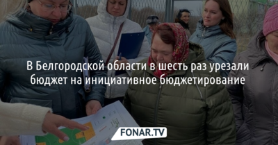 В Белгородской области в шесть раз урезали бюджет на инициативное бюджетирование 