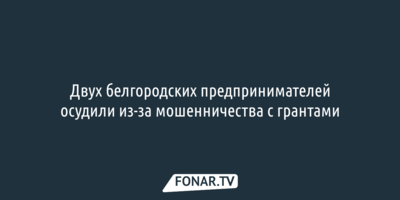 Двух белгородских предпринимателей осудили из-за мошенничества с грантами