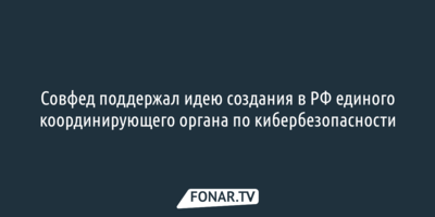 Совфед поддержал идею создания в РФ единого координирующего органа по кибербезопасности