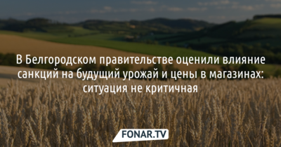 В белгородском правительстве оценили влияние санкций на будущий урожай и цены в магазинах